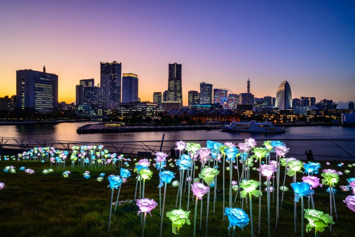 ⚓港夜景⚓ 横浜港フォトジェニックイルミネーション2023」プロデュース